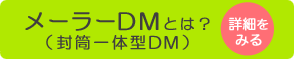 メーラーDM（封筒一体型DM）の詳細を見る